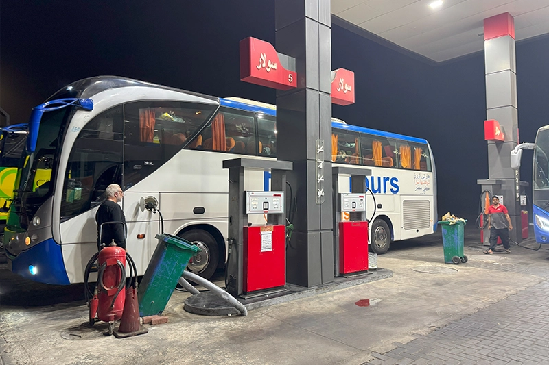 Kahire otobüs turu manzarası