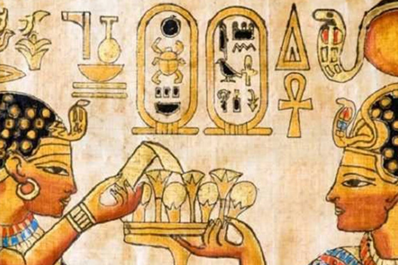 Papirüs Dükkanı ve Öğle Yemeği Giza