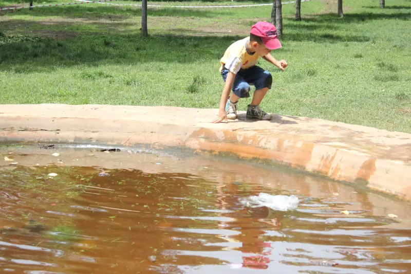 Çocuklarla seyahat için aile dostu ipuçları