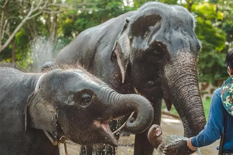 Vizesiz Seyahat Rehberi